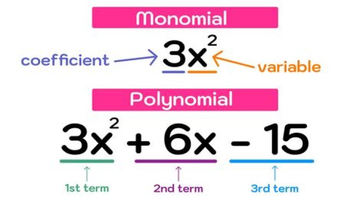 polynomial
