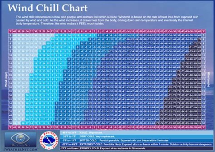Wind Chill Factor Calculator